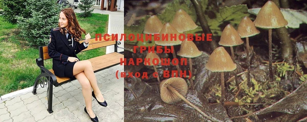a pvp Абинск