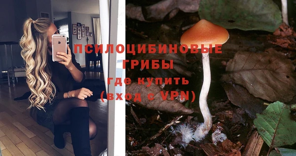 a pvp Абинск
