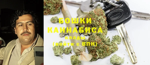 ПСИЛОЦИБИНОВЫЕ ГРИБЫ Осташков