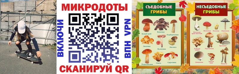 KRAKEN ONION  Прокопьевск  Псилоцибиновые грибы прущие грибы  купить наркотик 