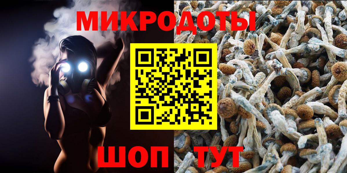 Галлюциногенные грибы Psilocybe Прокопьевск