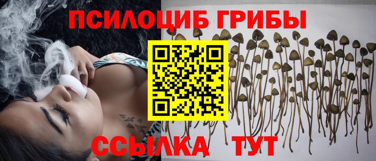 Галлюциногенные грибы Psilocybine cubensis  Вход с VPN  Прокопьевск 